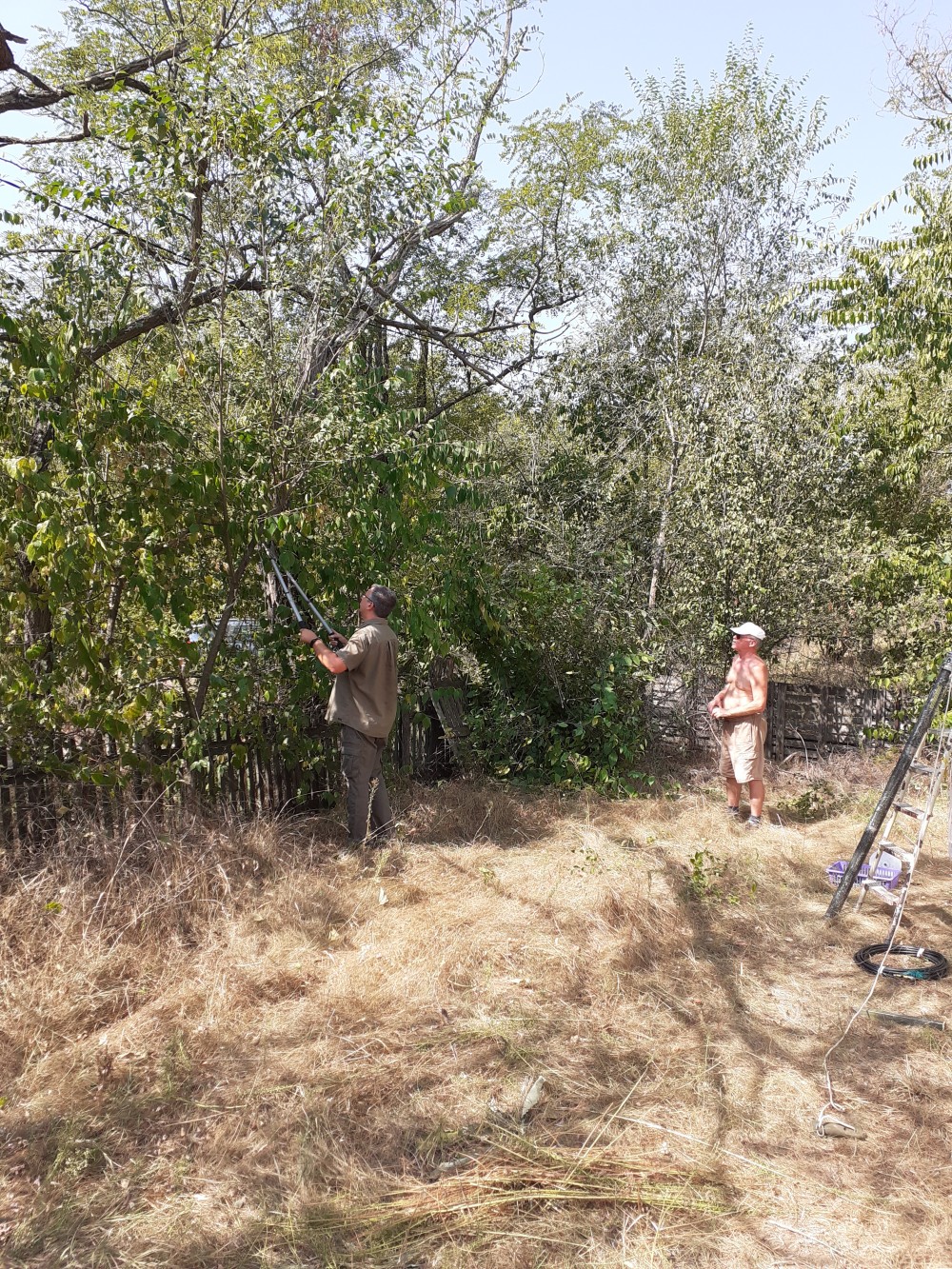 IARU Region 1 Field Day 2024b