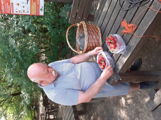 IARU Region 1 Field Day CW 2026