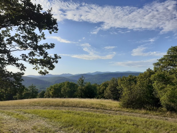 IARU Region 1 Field Day CW 2026